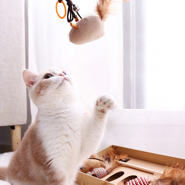 Load image into Gallery viewer, RACA Cat Teaser Gift Set (7pc)