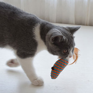 RACA Cat Teaser Gift Set (7pc)