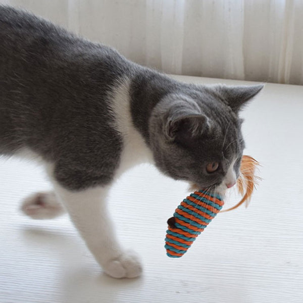 Load image into Gallery viewer, RACA Cat Teaser Gift Set (7pc)