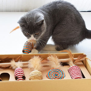 RACA Cat Teaser Gift Set (7pc)