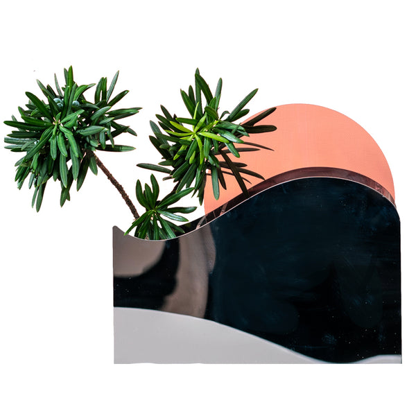 Load image into Gallery viewer, Fafafun - Sunbath Vase