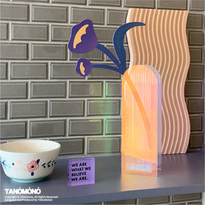 TANOMONO - Acrylic Aurora Vase