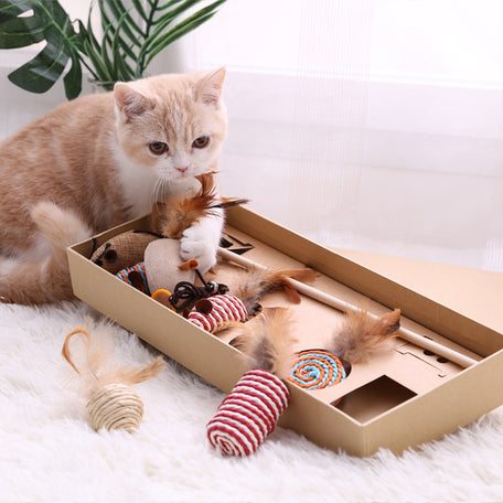 RACA Cat Teaser Gift Set (7pc)