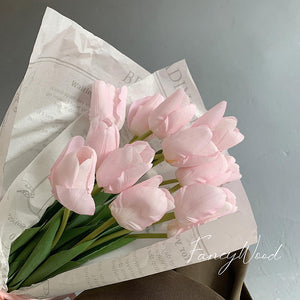 RACA Forever Tulip