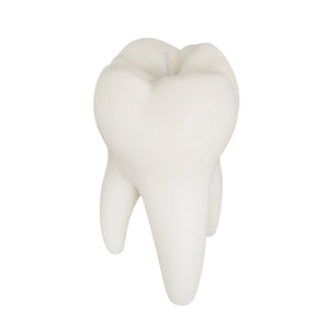 RACA CONP21AW Teeth Candle