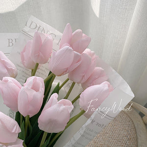 RACA Forever Tulip