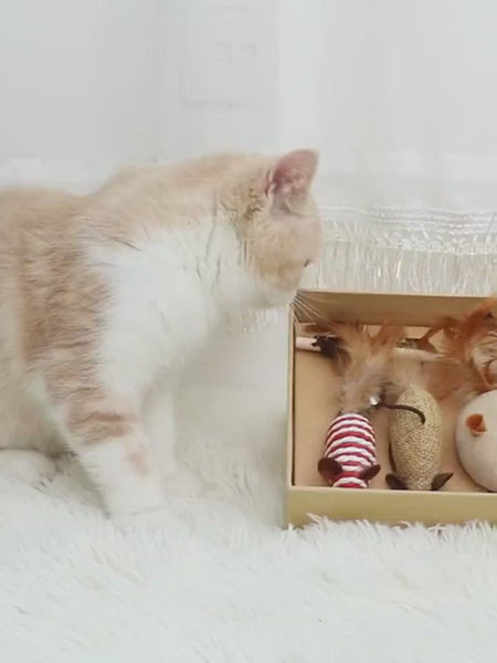 Load and play video in Gallery viewer, RACA Cat Teaser Gift Set (7pc)