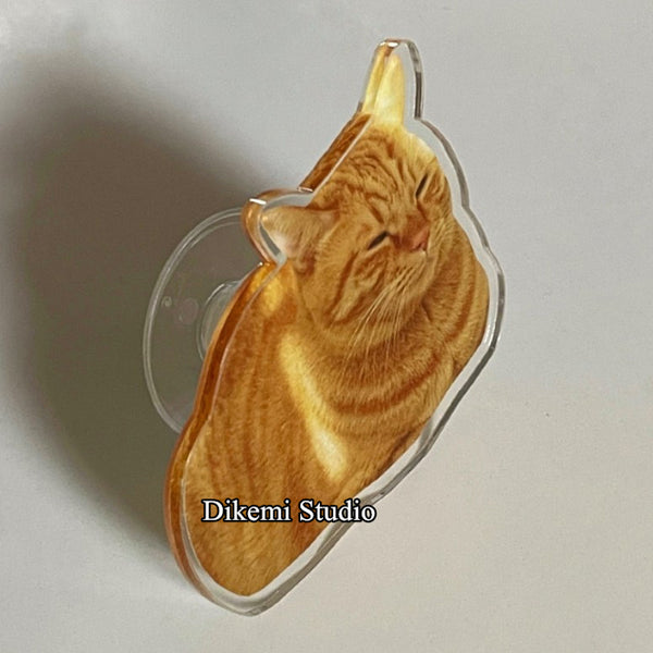 Load image into Gallery viewer, Ginger Meow Phone Case+Free Grip Holder
