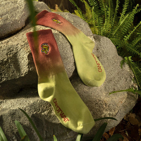 Illusion - Venus socks